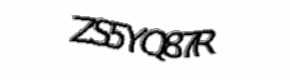 Security check image, please type the characters shown